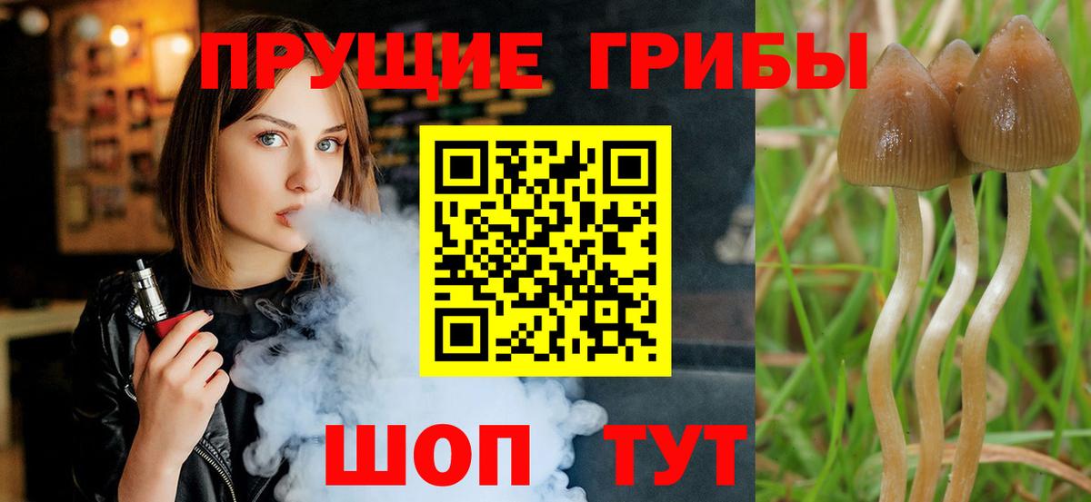 Верхняя Салда  Галлюциногенные грибы Magic Shrooms  Вход с VPN 
